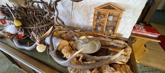 27غرفة فندق في Jungholz, Austria رقم 12849 28