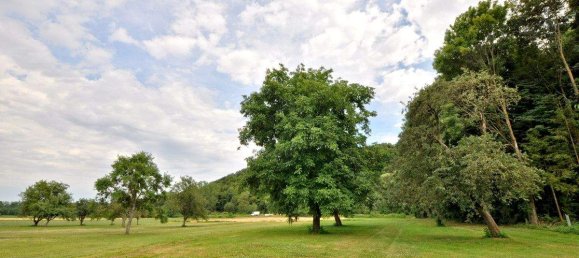 7 rooms House in Hannersdorf, Austria No. 162285 2