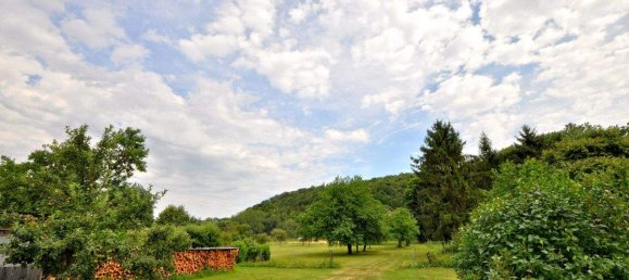 7 rooms House in Hannersdorf, Austria No. 162285 3