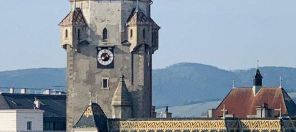 Dúplex de 3 habitaciónes en Korneuburg, Austria No. 145877 15