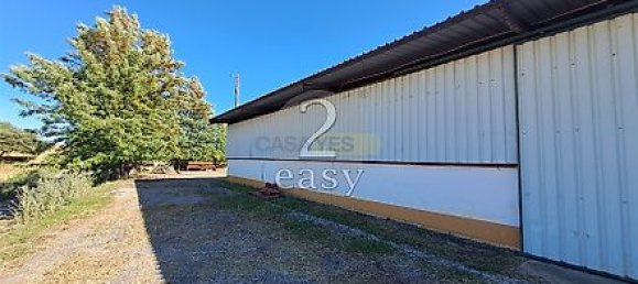40000m² Land in Selmes, Portugal No. 42422 16