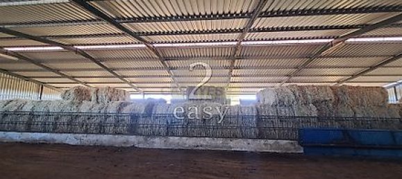 40000m² Land in Selmes, Portugal No. 42422 28