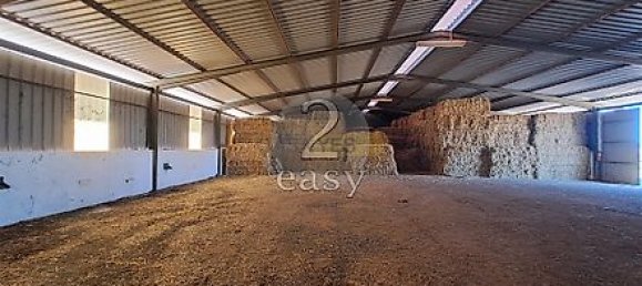 40000m² Land in Selmes, Portugal No. 42422 15