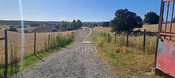 40000m² Land in Selmes, Portugal No. 42422 2