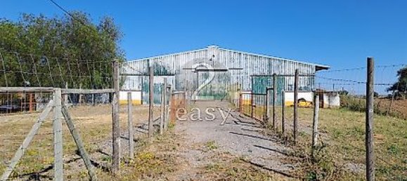 40000m² Land in Selmes, Portugal No. 42422 7