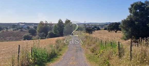 40000m² Land in Selmes, Portugal No. 42422 3