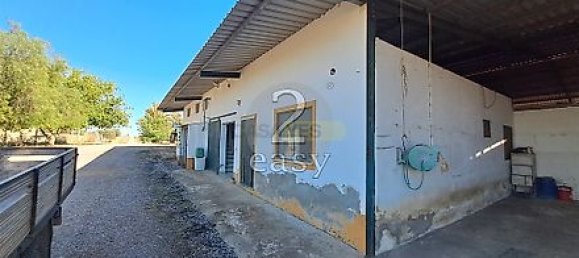 40000m² Land in Selmes, Portugal No. 42422 38