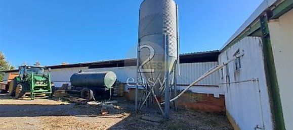 40000m² Land in Selmes, Portugal No. 42422 13