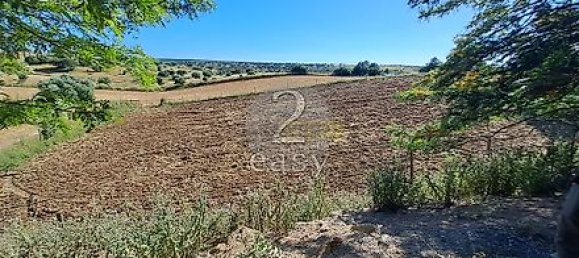 40000m² Land in Selmes, Portugal No. 42422 20