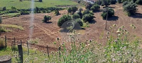 40000m² Land in Selmes, Portugal No. 42422 5