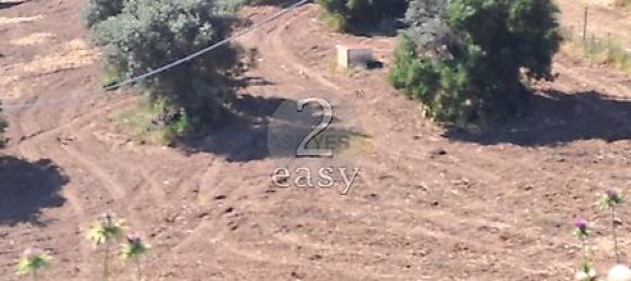 40000m² Land in Selmes, Portugal No. 42422 6