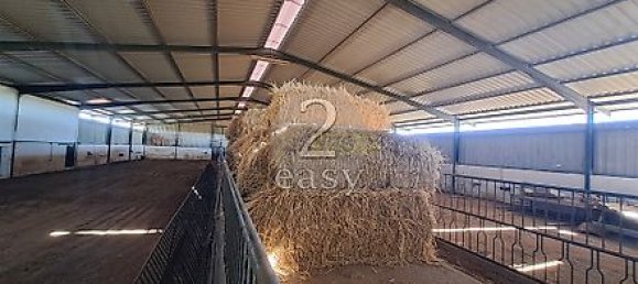 40000m² Land in Selmes, Portugal No. 42422 29