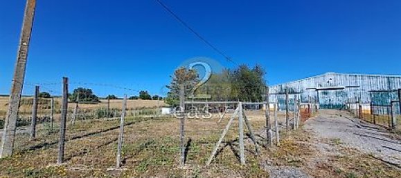 40000m² Land in Selmes, Portugal No. 42422 10