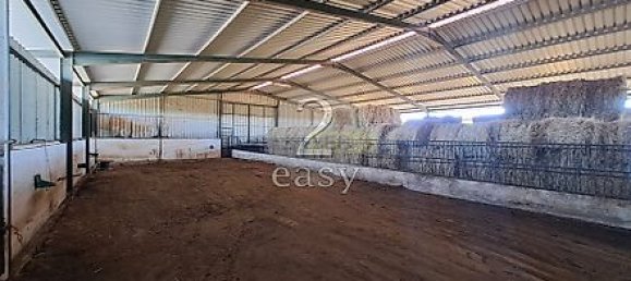 40000m² Land in Selmes, Portugal No. 42422 27