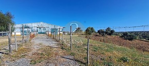 40000m² Land in Selmes, Portugal No. 42422 9