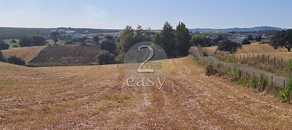 40000m² Land in Selmes, Portugal No. 42422 41