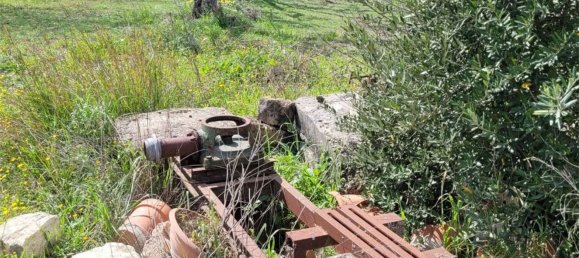 Grundstück in Cerignola, Italy 16200m², Nr. 77783 5