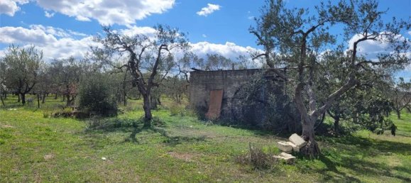 Grundstück in Cerignola, Italy 16200m², Nr. 77783 6