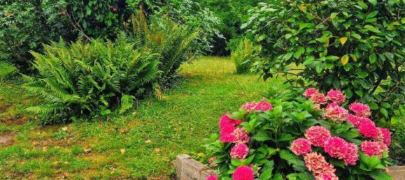 3 bedrooms Apartment in Hochtaunuskreis, Germany No. 282769 14