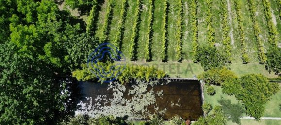 28710m² Land in Ribeirao, Portugal No. 28520 16