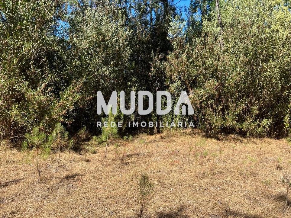 Terrain à Torreira, Portugal 10173m² No. 210219