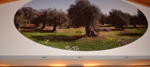 4 Schlafzimmer Villa in Corfu, Greece, Nr. 8902 4