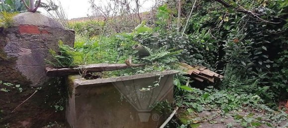 5 bedrooms House in Angeja, Portugal No. 165624 19