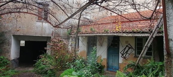 5 bedrooms House in Angeja, Portugal No. 165624 4