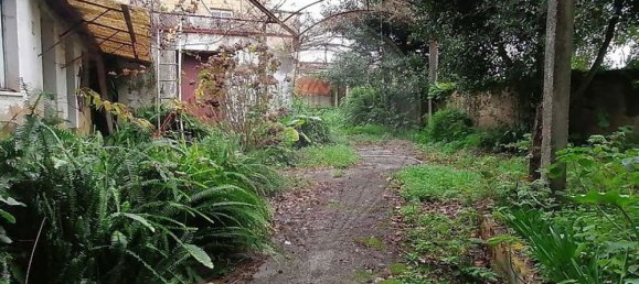 5 bedrooms House in Angeja, Portugal No. 165624 20