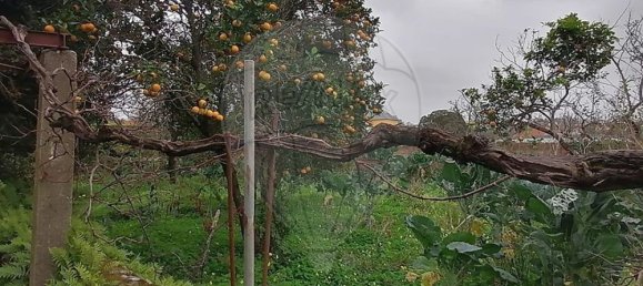 5 bedrooms House in Angeja, Portugal No. 165624 18