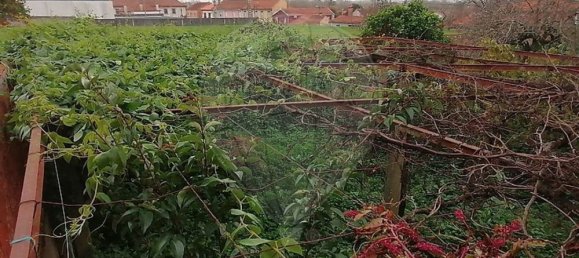 5 bedrooms House in Angeja, Portugal No. 165624 37