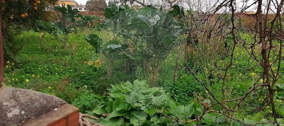 5 bedrooms House in Angeja, Portugal No. 165624 17