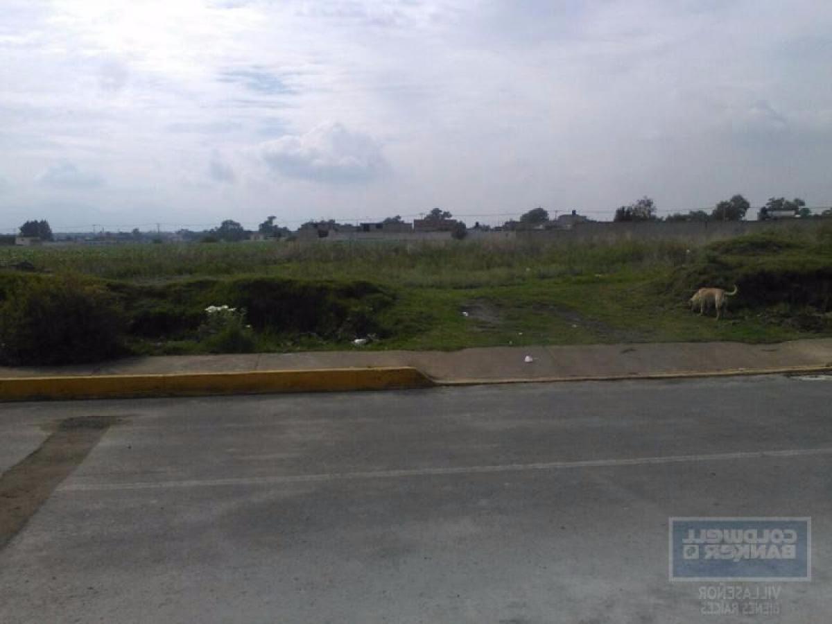  Land in Mexico No. 207127