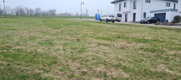  Land in Mainz-Bingen, Germany No. 311289 2