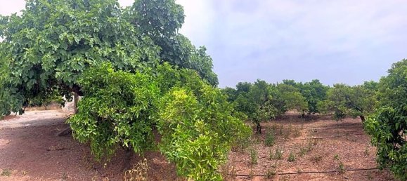  قطعة أرض في Castellon de la Plana, Spain 11632متر مربع رقم 91519 4