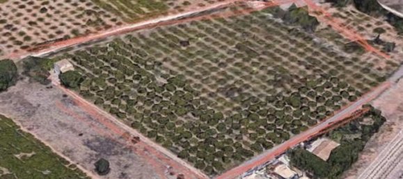  قطعة أرض في Castellon de la Plana, Spain 11632متر مربع رقم 91519 13