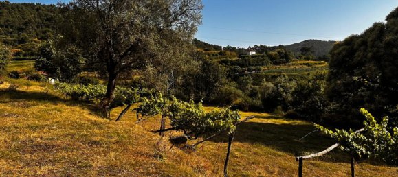 3 Schlafzimmer Grundstück in Ponte de Lima, Portugal, Nr. 190249 5