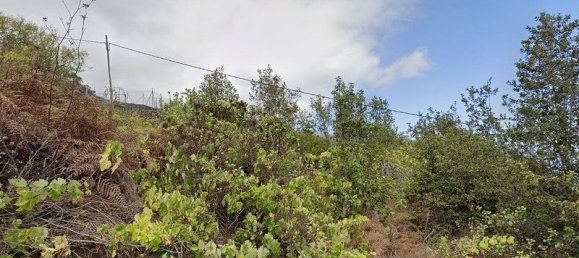 1190m² Land in Icod de los Vinos, Spain No. 180411 3