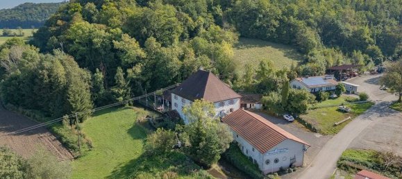 Café/restaurante de 11 habitaciónes en Waldshut, Germany No. 64067 18