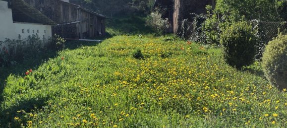 1 غرف نوم مزرعة في Hersfeld-Rotenburg, Germany رقم 292875 7