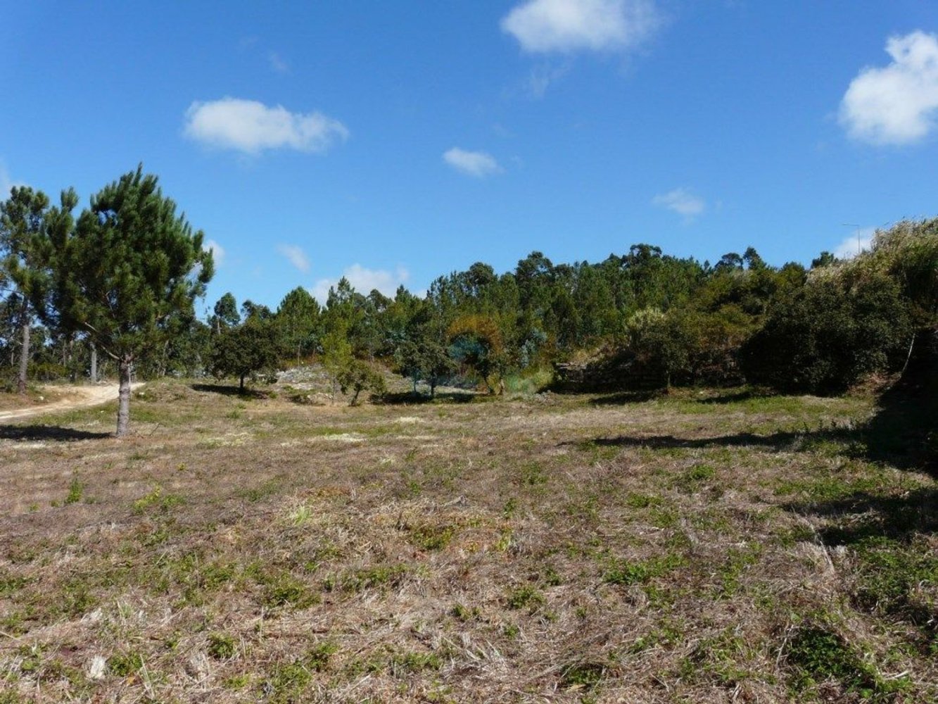 Grundstück in Mafra, Portugal, Nr. 303110