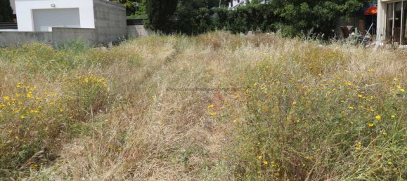  Land in Paralimni, Cyprus No. 24131 3