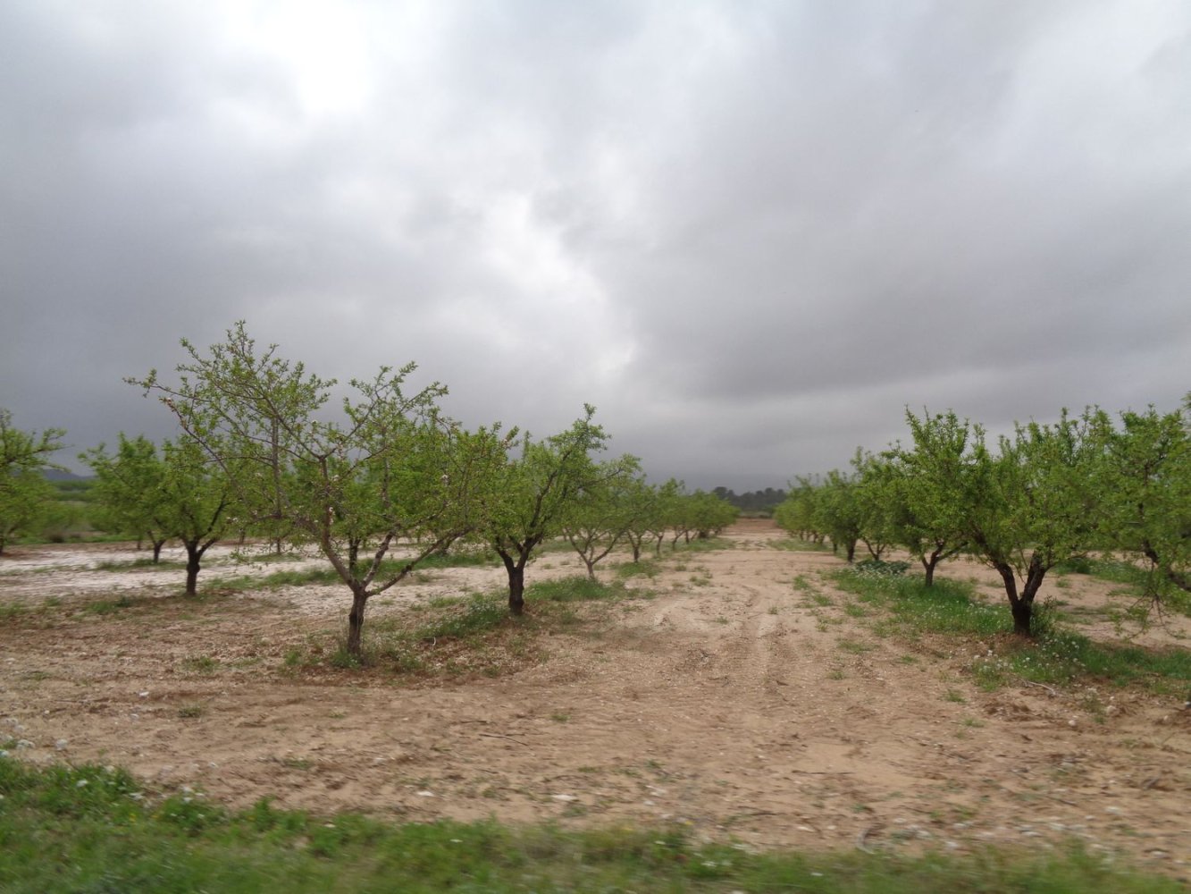  قطعة أرض في Mula, Spain رقم 164481