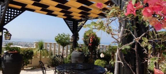 4 bedrooms Villa in Pegeia, Cyprus No. 22366 28