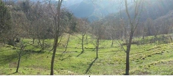 6 rooms House in Castelnuovo di Garfagnana, Italy No. 114652 2