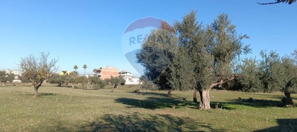 Terrain à Comiso, Italy 4700m² No. 309141 20