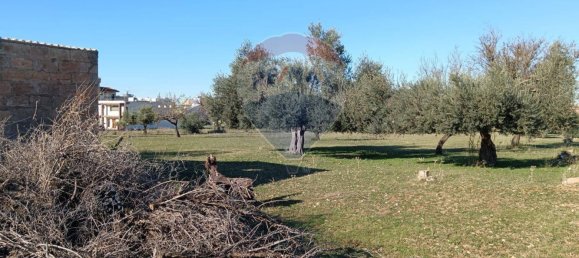 Terrain à Comiso, Italy 4700m² No. 309141 19