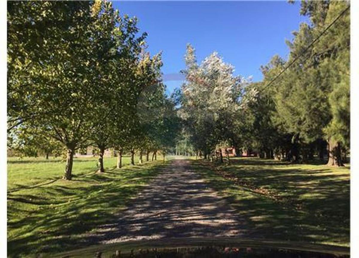  Land in Buenos Aires, Argentina No. 111475