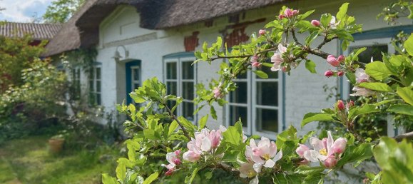 2 Schlafzimmer Haus in Schleswig-Holstein, Germany, Nr. 81315 3