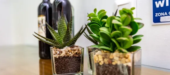  عقار تجاري في Lisbon, Portugal 241متر مربع رقم 75412 10